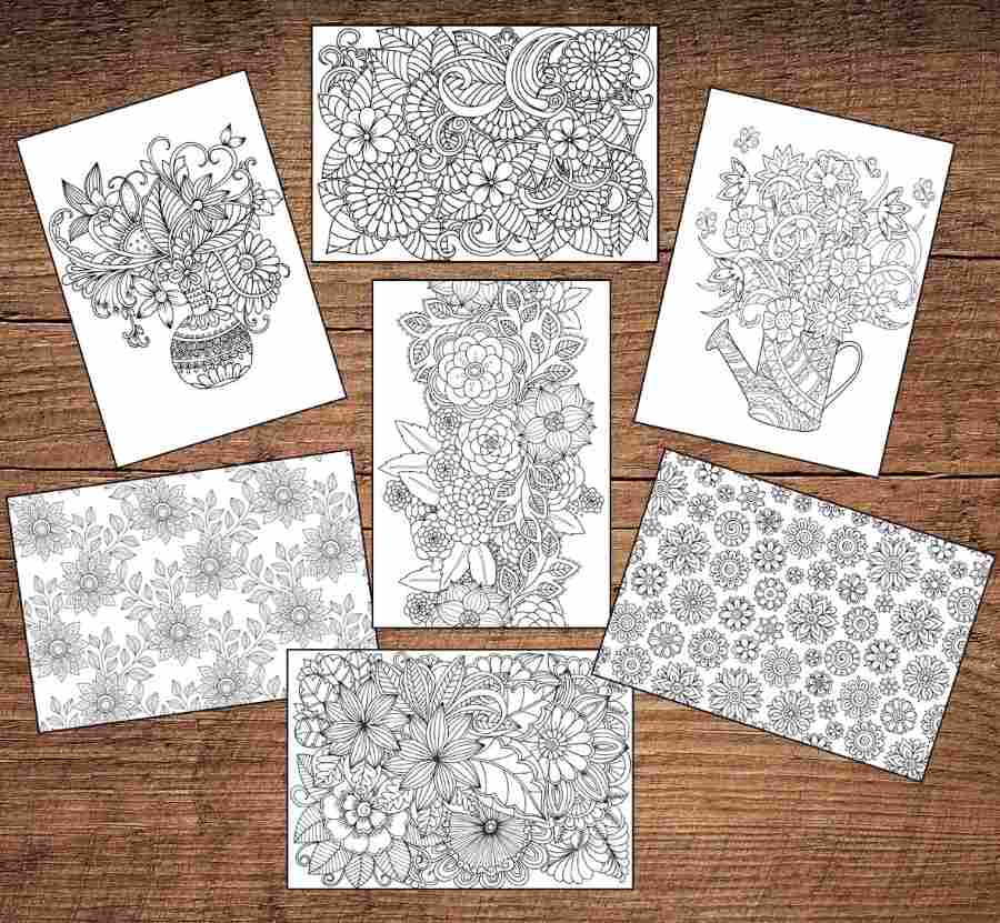 Colouring Cards